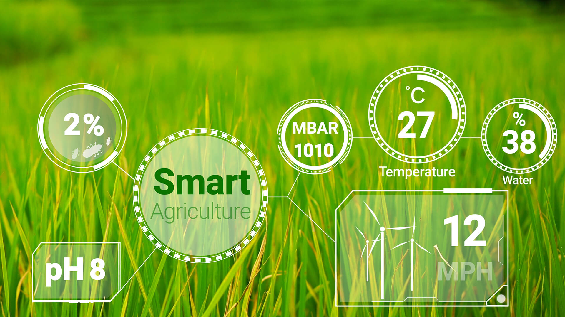 PC端示范跟蹤banner